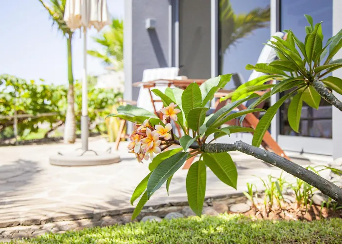 Resort Quinta Golfinho Arco da Calheta (Madeira)