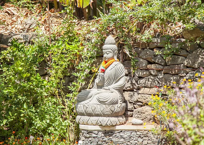 Quinta Golfinho Resort