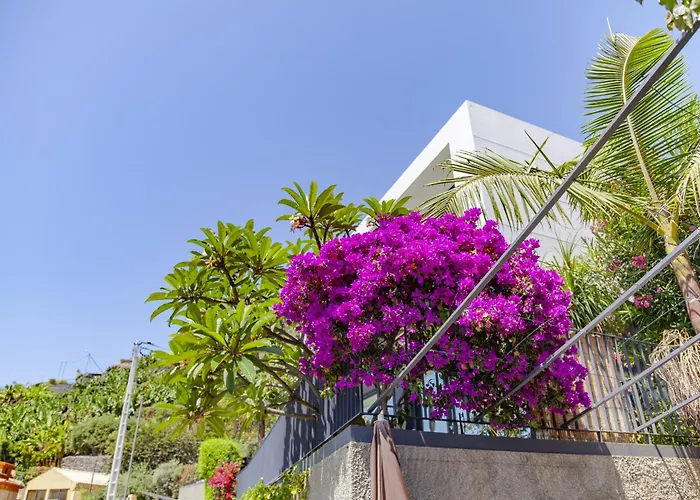 Resort Quinta Golfinho