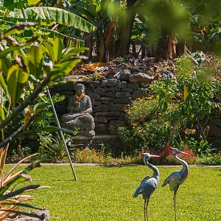 Quinta Golfinho