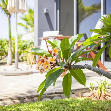 Resort Quinta Golfinho Arco da Calheta (Madeira)