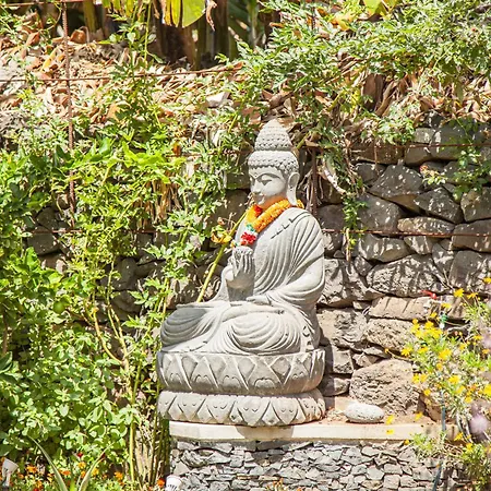 Quinta Golfinho Resort