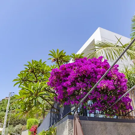度假村 Quinta Golfinho