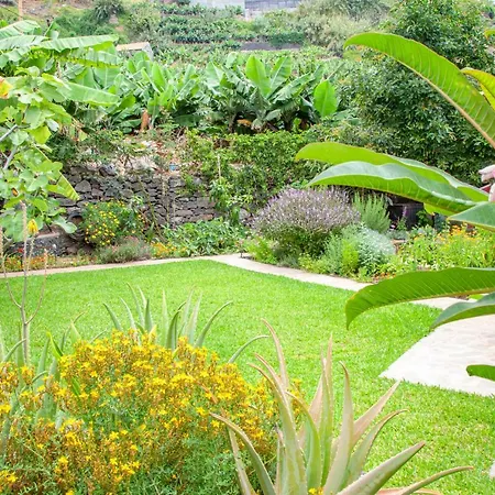 Quinta Golfinho Arco da Calheta (Madeira)
